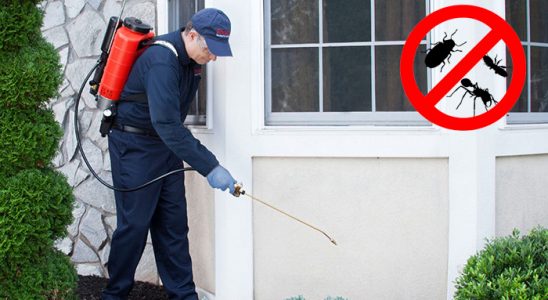 Suruç Böcek ve Haşere İlaçlama böcek ilaçlama ve haşere kontrolü — ilaclama-tr.com